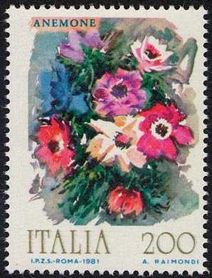 Fiori d'Italia - anemone