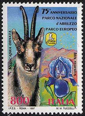 75° Anniversario del Parco Nazionale d'Abruzzo - Flora e fauna - Camoscio e Giaggiolo