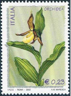 «L'ambiente e la natura» - Flora,  fauna e invertebrati - Orchidea