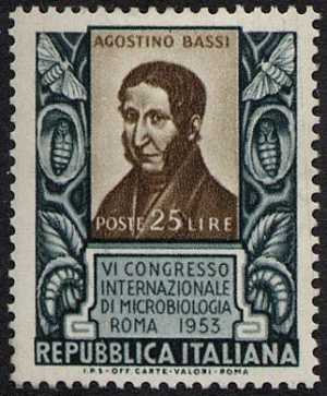 Agostino Bassi