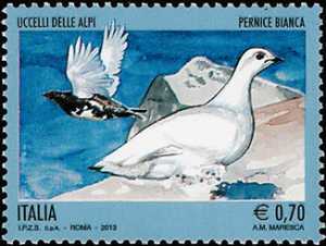 Fauna - Uccelli delle Alpi - Pernice bianca