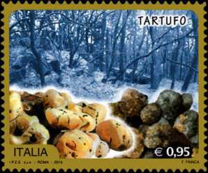 Eccellenze del sistema produttivo ed economico" : Il tartufo