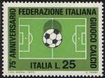 75° Anniversario della fondazione della Federazione Italiana Gioco Calcio - campo di gioco