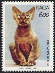 Animali domestici - Gatti - razza Devon Rex
