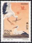 «L'ambiente e la natura» - Vertebrati - Cicogna