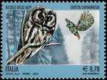 Fauna - Uccelli delle Alpi - Civetta capogrosso