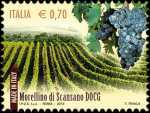 Morellino di Scansano - Valdobbiadene Superiore DOCG
