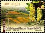 Colli bolognesi - Classico Pignoletto DOCG