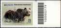 Europa 2021 -  Orso bruno marsicano - francobollo con codice a barre n° 2179 a DESTRA in alto