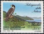 Salvaguardia della natura - Falco pellegrino