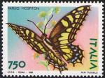 Animali - Farfalle - Papilio hospiton